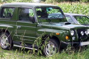 Asia Retona 2.0 D 87 HP Suv