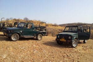 Maruti Gypsy 1.0 45 KM Suv