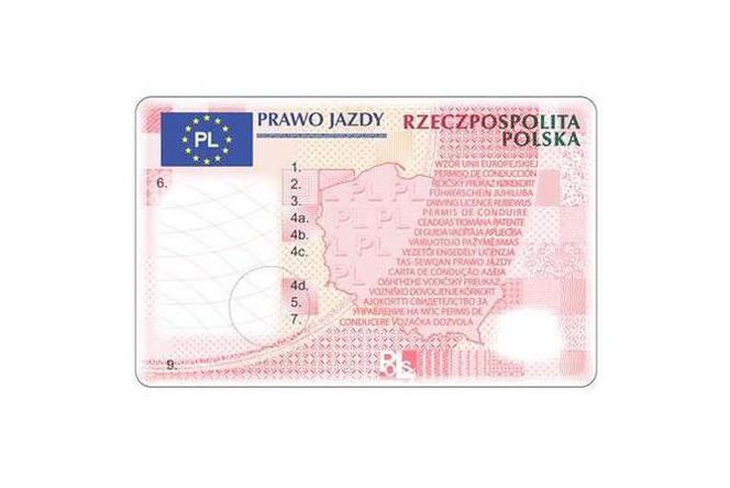 ile sie czeka na prawo jazdy