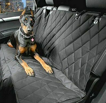 przewożenie psa w samochodzie przepisy