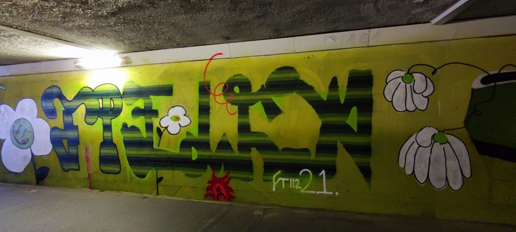 Mural w przejściu podziemnym przy ul Dworcowej i Mariackiej tylnej