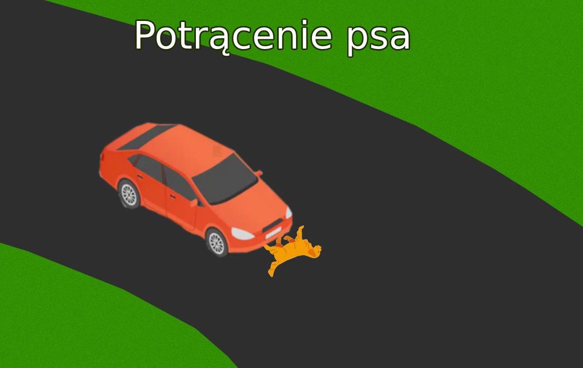 potrącenie psa
