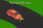 potrącenie psa